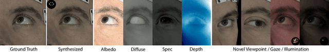 Figure 1 for EyeNeRF: A Hybrid Representation for Photorealistic Synthesis, Animation and Relighting of Human Eyes