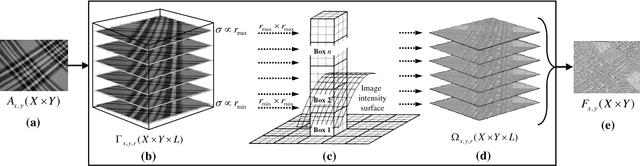 Figure 1 for FWLBP: A Scale Invariant Descriptor for Texture Classification