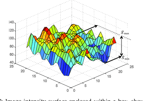 Figure 3 for FWLBP: A Scale Invariant Descriptor for Texture Classification