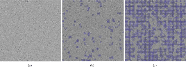 Figure 4 for APPLE Picker: Automatic Particle Picking, a Low-Effort Cryo-EM Framework
