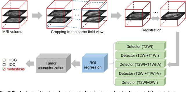 Figure 3 for A deep learning pipeline for localization, differentiation, and uncertainty estimation of liver lesions using multi-phasic and multi-sequence MRI
