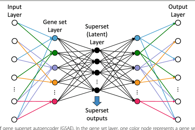 Figure 1 for GSAE: an autoencoder with embedded gene-set nodes for genomics functional characterization