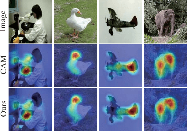 Figure 3 for Adversarial Complementary Learning for Weakly Supervised Object Localization