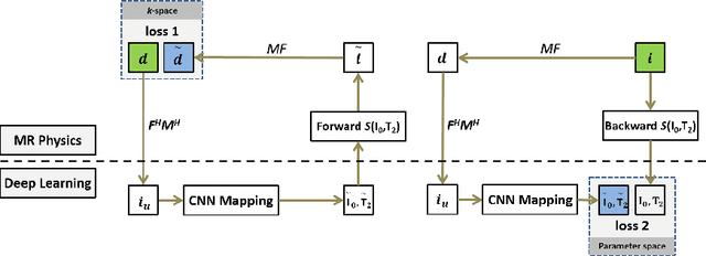 Figure 1 for MANTIS: Model-Augmented Neural neTwork with Incoherent k-space Sampling for efficient MR T2 mapping
