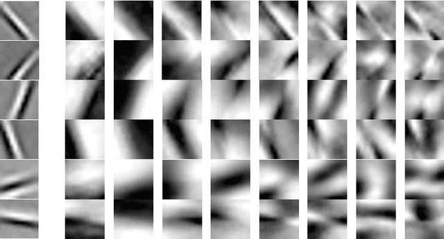 Figure 1 for Image Deblurring and Super-resolution by Adaptive Sparse Domain Selection and Adaptive Regularization