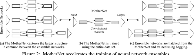 Figure 1 for Rapid Training of Very Large Ensembles of Diverse Neural Networks