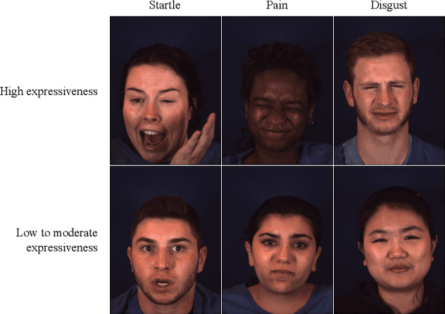 Figure 1 for Context-Dependent Models for Predicting and Characterizing Facial Expressiveness
