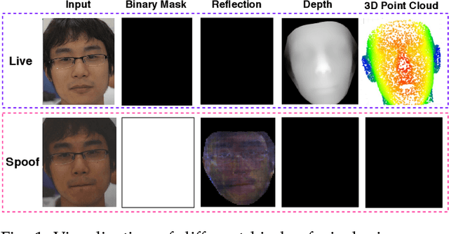 Figure 1 for Revisiting Pixel-Wise Supervision for Face Anti-Spoofing