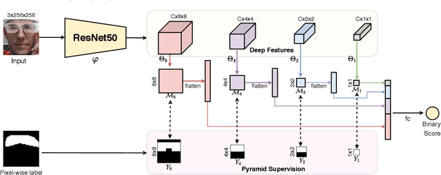 Figure 3 for Revisiting Pixel-Wise Supervision for Face Anti-Spoofing