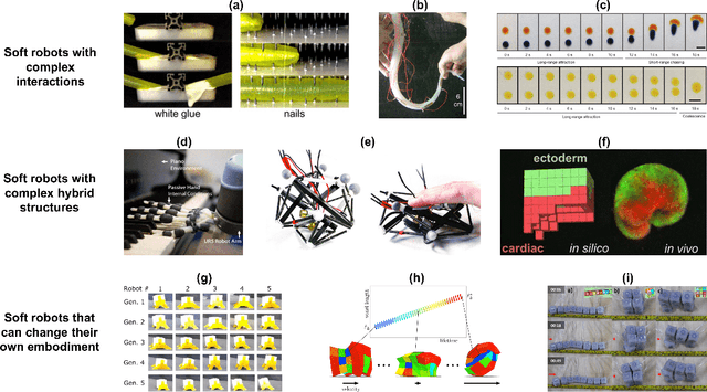 Figure 3 for Reality-assisted evolution of soft robots through large-scale physical experimentation: a review