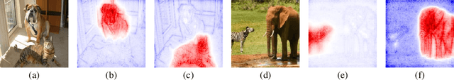 Figure 1 for Visualization of Supervised and Self-Supervised Neural Networks via Attribution Guided Factorization