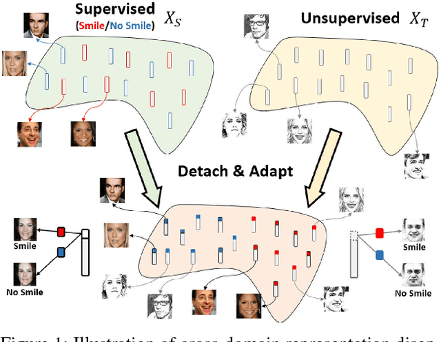 Figure 1 for Detach and Adapt: Learning Cross-Domain Disentangled Deep Representation