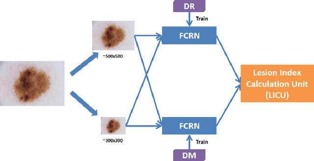 Figure 1 for Skin Lesion Analysis Towards Melanoma Detection Using Deep Learning Network