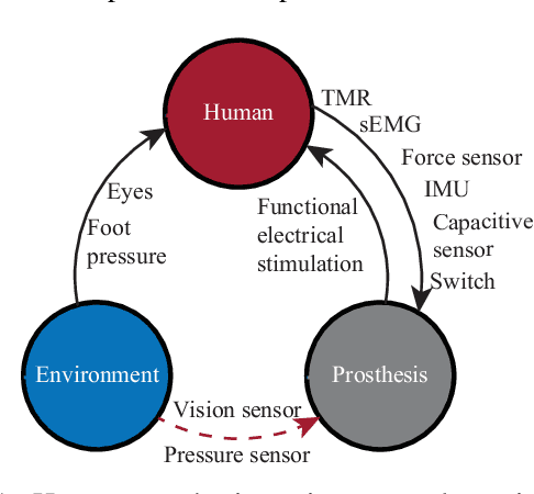 Figure 1 for Sensor Fusion for Predictive Control of Human-Prosthesis-Environment Dynamics in Assistive Walking: A Survey