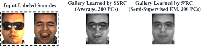 Figure 1 for Semi-Supervised Sparse Representation Based Classification for Face Recognition with Insufficient Labeled Samples