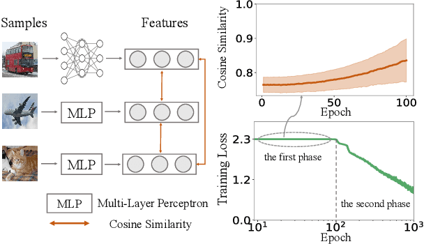 Figure 1 for Trap of Feature Diversity in the Learning of MLPs