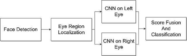 Figure 2 for Real-time Eye Gaze Direction Classification Using Convolutional Neural Network