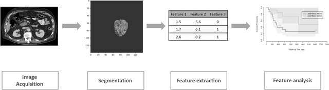Figure 1 for Improving Prognostic Value of CT Deep Radiomic Features in Pancreatic Ductal Adenocarcinoma Using Transfer Learning