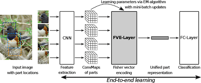 Figure 3 for End-to-end Learning of a Fisher Vector Encoding for Part Features in Fine-grained Recognition