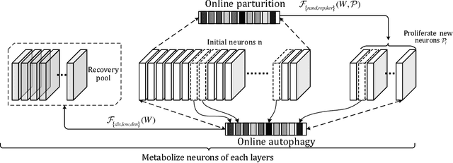 Figure 3 for Metabolize Neural Network