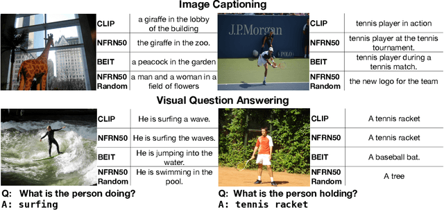 Figure 3 for Linearly Mapping from Image to Text Space