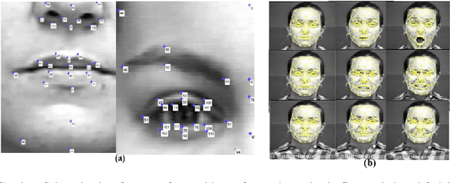 Figure 2 for Recognizing Combinations of Facial Action Units with Different Intensity Using a Mixture of Hidden Markov Models and Neural Network