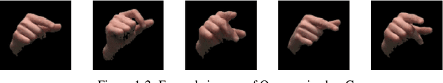 Figure 2 for American Sign Language fingerspelling recognition from video: Methods for unrestricted recognition and signer-independence