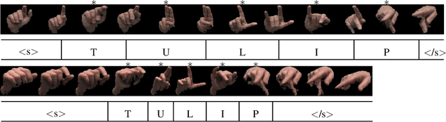 Figure 3 for American Sign Language fingerspelling recognition from video: Methods for unrestricted recognition and signer-independence