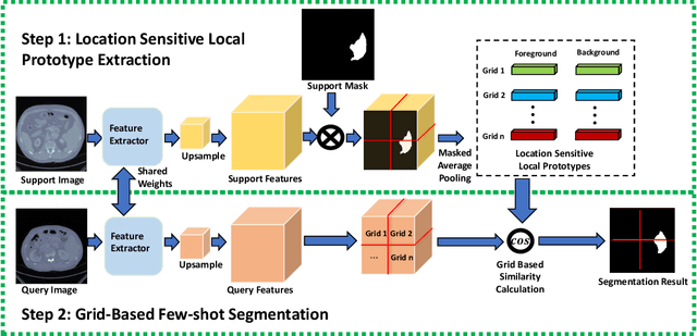 Figure 1 for A Location-Sensitive Local Prototype Network for Few-Shot Medical Image Segmentation