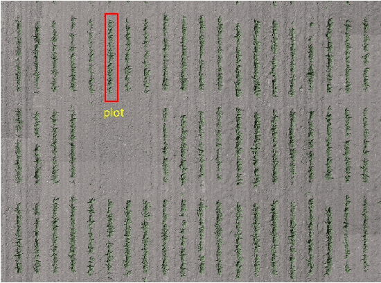 Figure 3 for Field-Based Plot Extraction Using UAV RGB Images