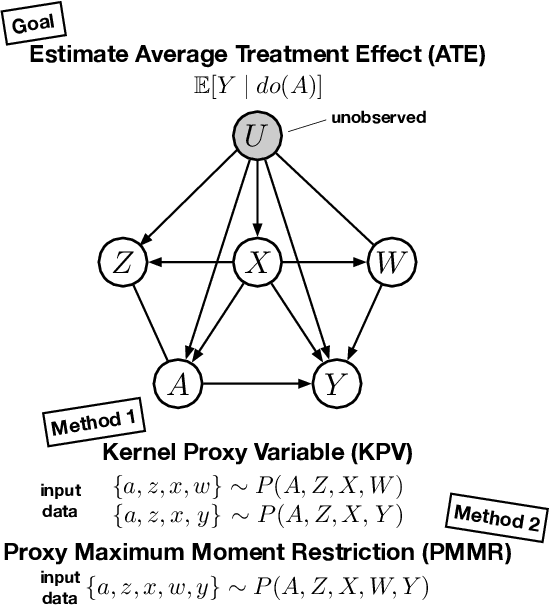 Figure 1 for Proximal Causal Learning with Kernels: Two-Stage Estimation and Moment Restriction