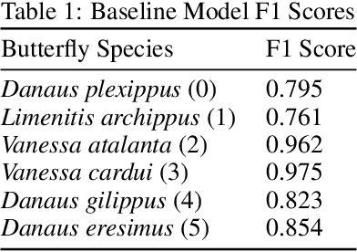 Figure 2 for MonarchNet: Differentiating Monarch Butterflies from Butterflies Species with Similar Phenotypes