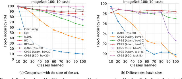 Figure 2 for Continual Prune-and-Select: Class-incremental learning with specialized subnetworks