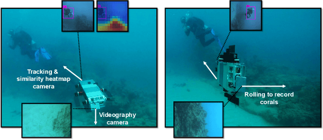 Figure 3 for One-Shot Informed Robotic Visual Search in the Wild