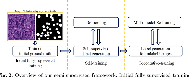 Figure 3 for Signet Ring Cell Detection With a Semi-supervised Learning Framework