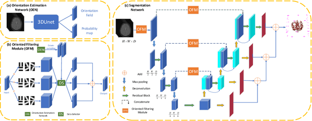 Figure 1 for Cerebrovascular Segmentation via Vessel Oriented Filtering Network