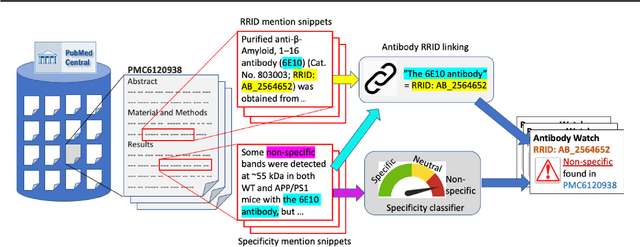 Figure 2 for Antibody Watch: Text Mining Antibody Specificity from the Literature