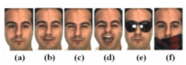 Figure 1 for A Survey of the Trends in Facial and Expression Recognition Databases and Methods