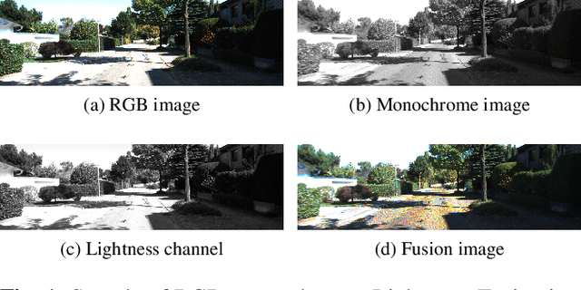 Figure 1 for Light Robust Monocular Depth Estimation For Outdoor Environment Via Monochrome And Color Camera Fusion