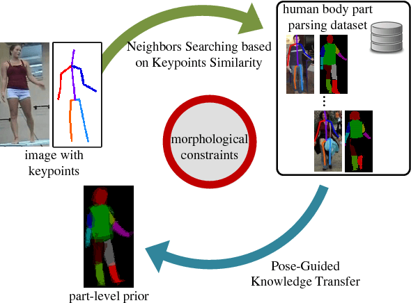 Figure 1 for Weakly and Semi Supervised Human Body Part Parsing via Pose-Guided Knowledge Transfer