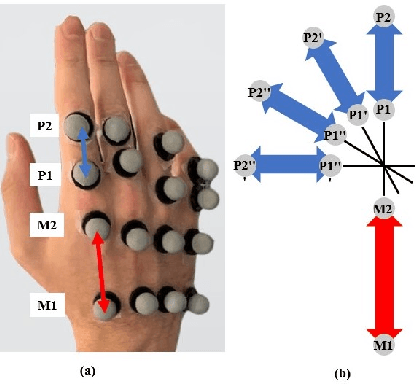 Figure 3 for Prediction of Metacarpophalangeal joint angles and Classification of Hand configurations based on Ultrasound Imaging of the Forearm