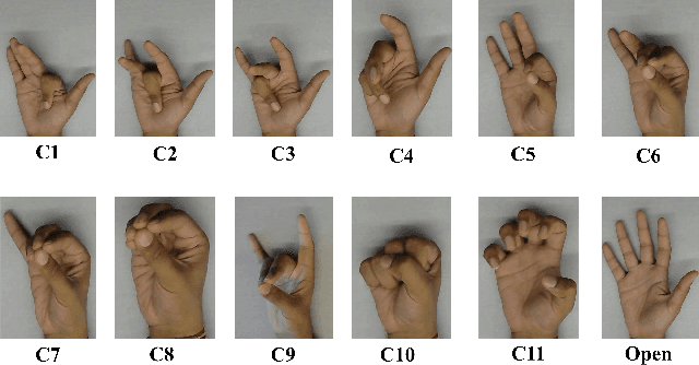 Figure 4 for Prediction of Metacarpophalangeal joint angles and Classification of Hand configurations based on Ultrasound Imaging of the Forearm