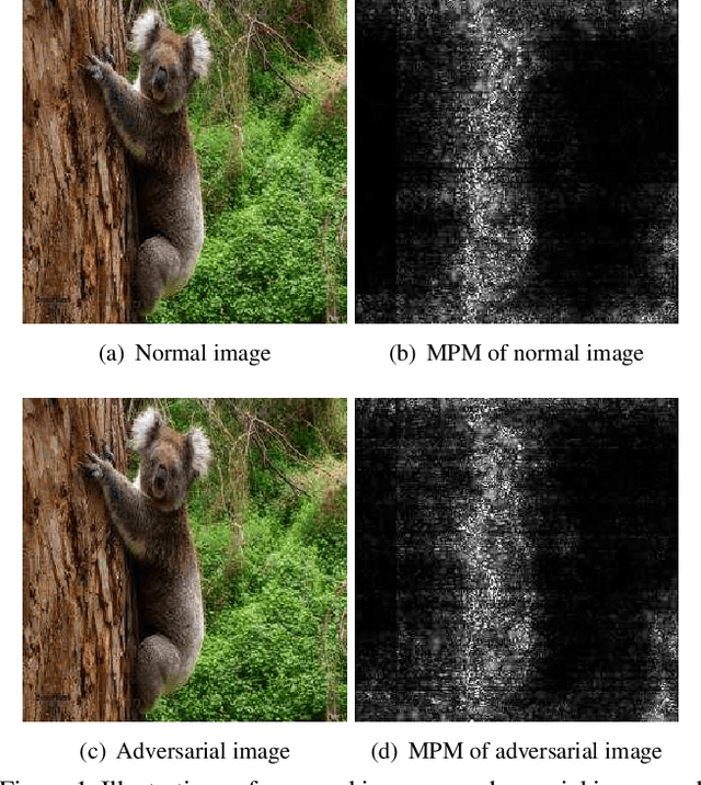 Figure 1 for Detection based Defense against Adversarial Examples from the Steganalysis Point ot View