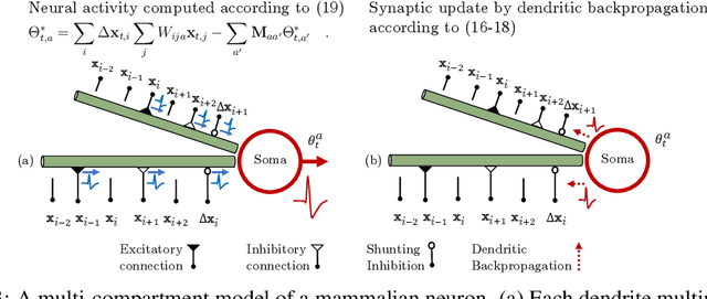 Figure 3 for A Similarity-preserving Neural Network Trained on Transformed Images Recapitulates Salient Features of the Fly Motion Detection Circuit