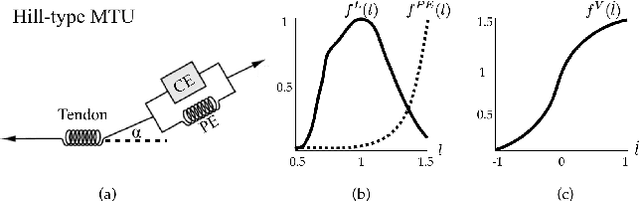 Figure 4 for Synthesis of Biologically Realistic Human Motion Using Joint Torque Actuation