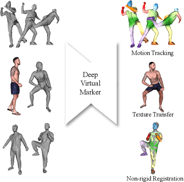 Figure 1 for Deep Virtual Markers for Articulated 3D Shapes