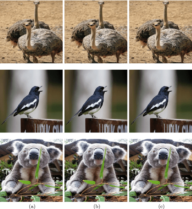 Figure 3 for Reversible Adversarial Examples