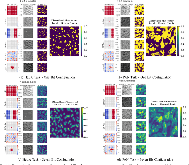 Figure 3 for Physics-enhanced machine learning for virtual fluorescence microscopy