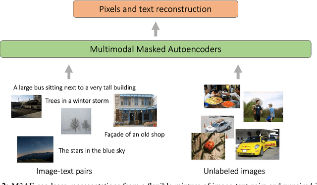Figure 3 for Multimodal Masked Autoencoders Learn Transferable Representations