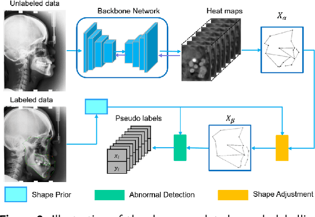 Figure 3 for Semi-supervised Anatomical Landmark Detection via Shape-regulated Self-training